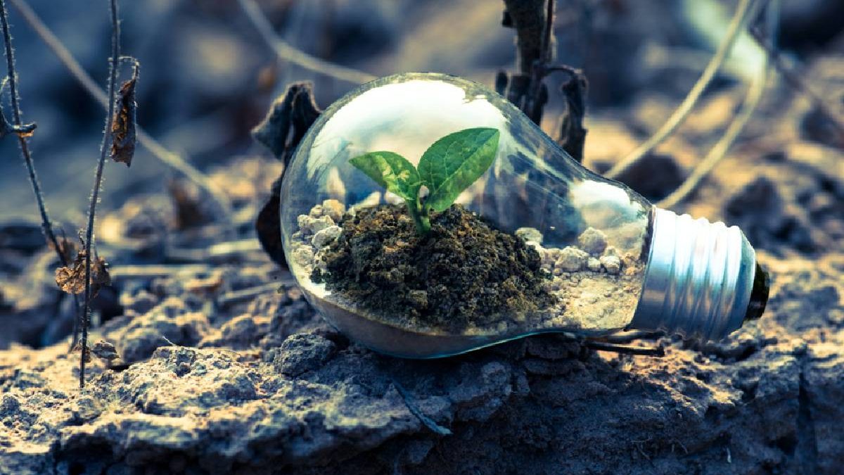 CSR In Marketing Its Role, Benefits & Pitfalls