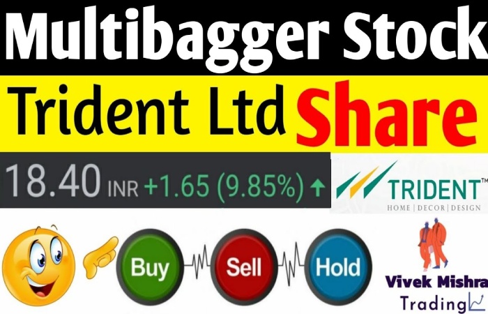 Financial Shareholders Meetings - NSE_ Trident Financials