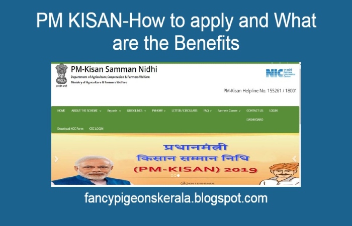 PM Kisan Scheme Benefits