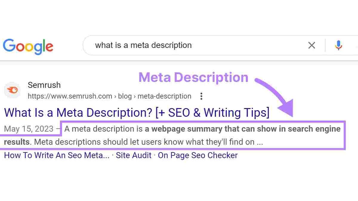 What Exactly is a Meta Description in SEO?