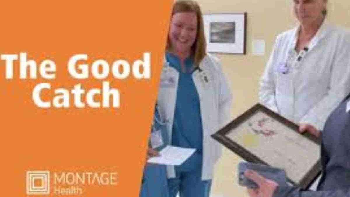 CatchHealthPlan.com India Review: Is It Reliable for Health Insurance?