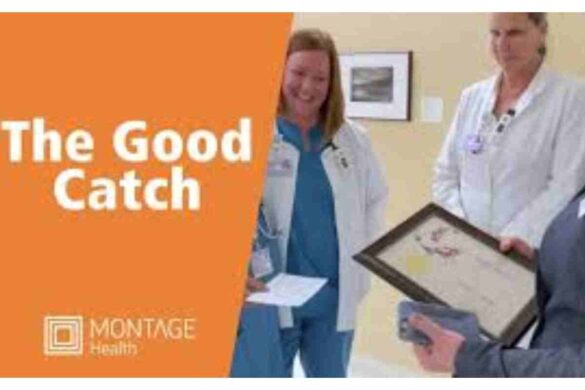 catchhealthplan com