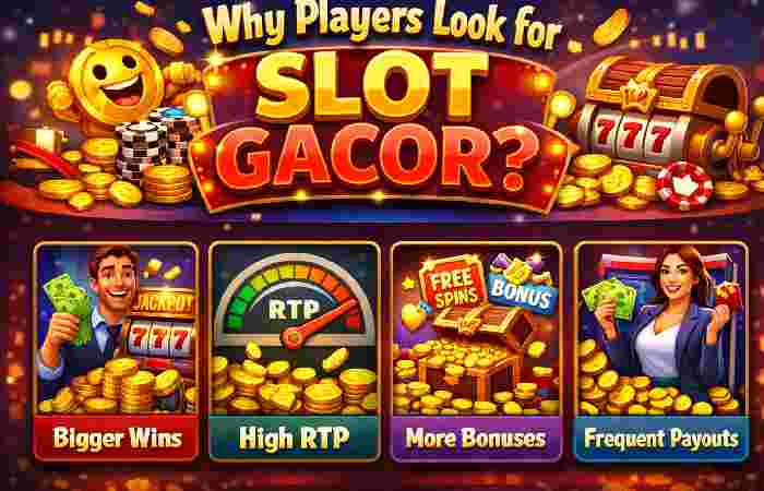 why players look for slot gacor_
